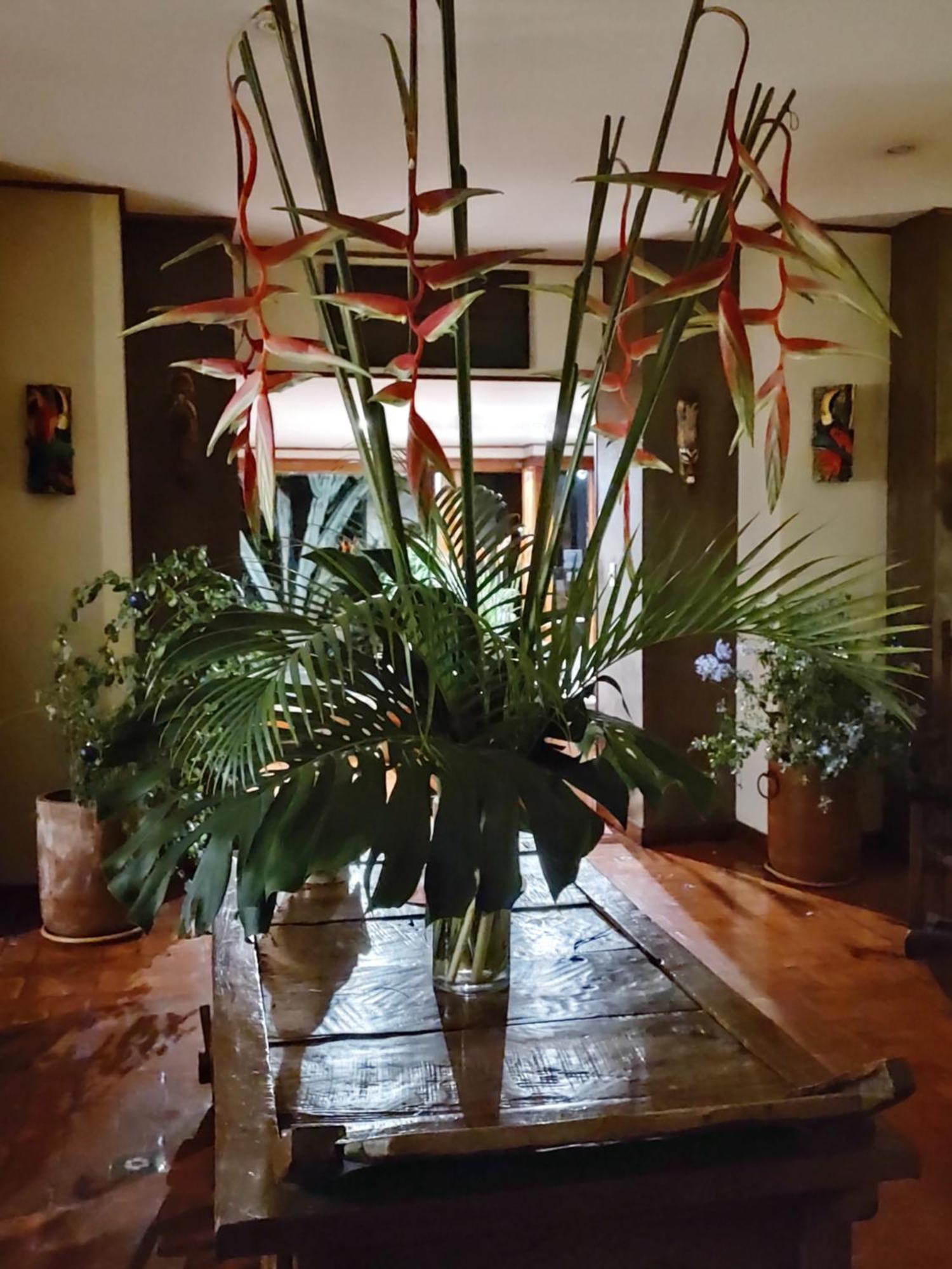 Canal Grande Lodge Piedades 外观 照片